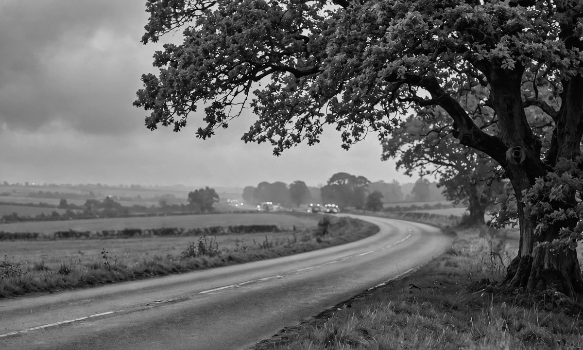 Black and white illustration of a rural road with a large tree and blurred emergency lights in the distance